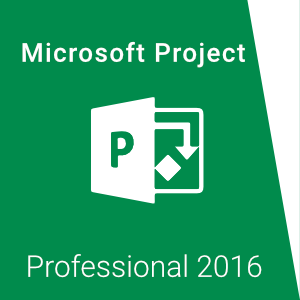MS Project Pro 2016
