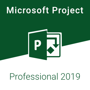 MS Project Pro 2019